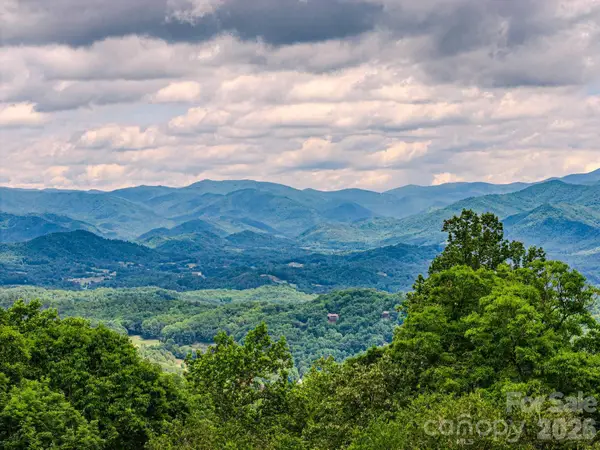 1680 Williamson Road, Whittier, NC 28789