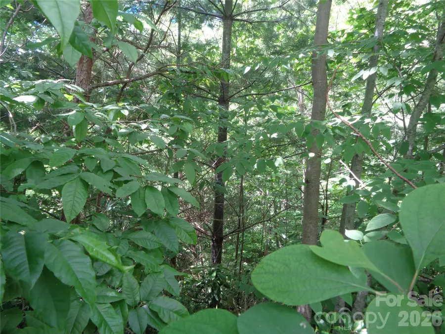 Lot 6 Peaks Creek Trail, Maggie Valley, NC 28751 - #2