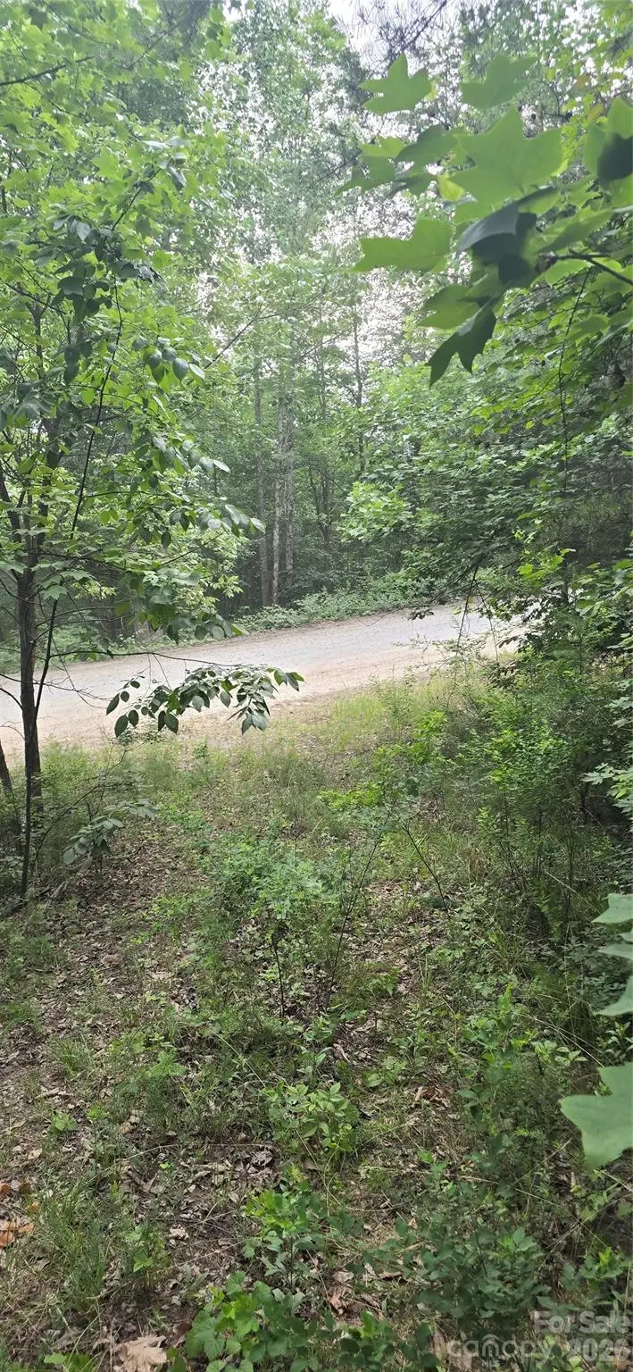 0 Pinnacle Parkway #6, Union Mills, NC 28167 - #3