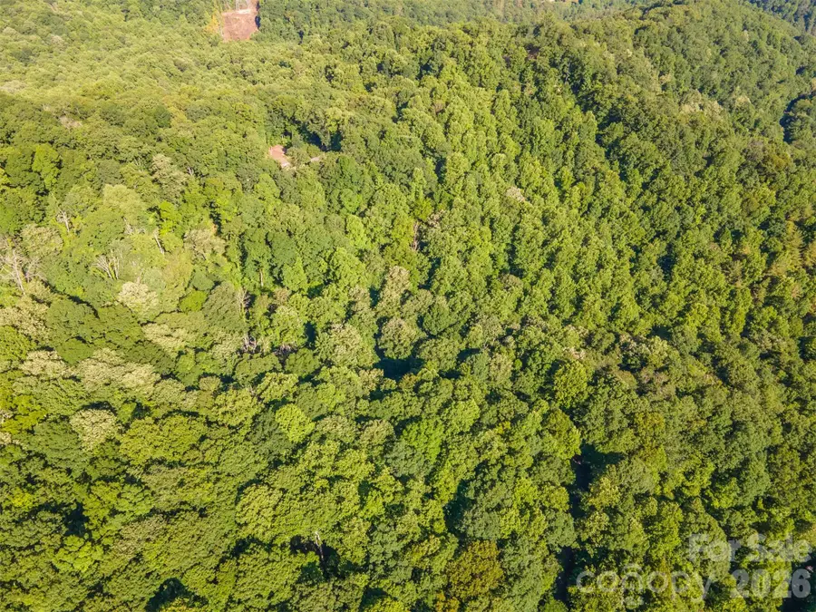 Lot 57 Morningside Drive #57, Tuckasegee, NC 28783 - #2