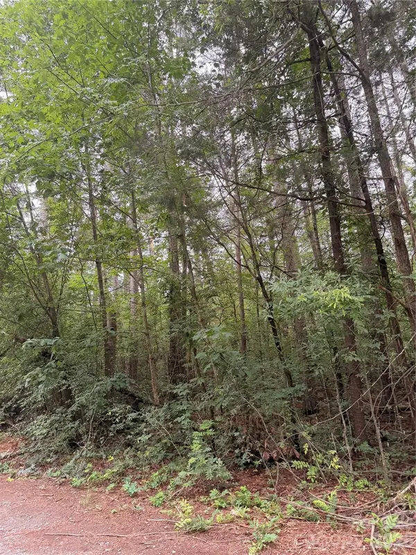 00 Concord Road #759, New London, NC 28127