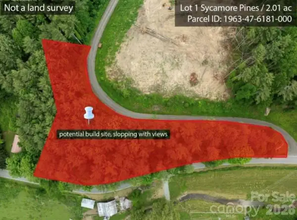 TBD Sycamore Road, Vilas, NC 28692