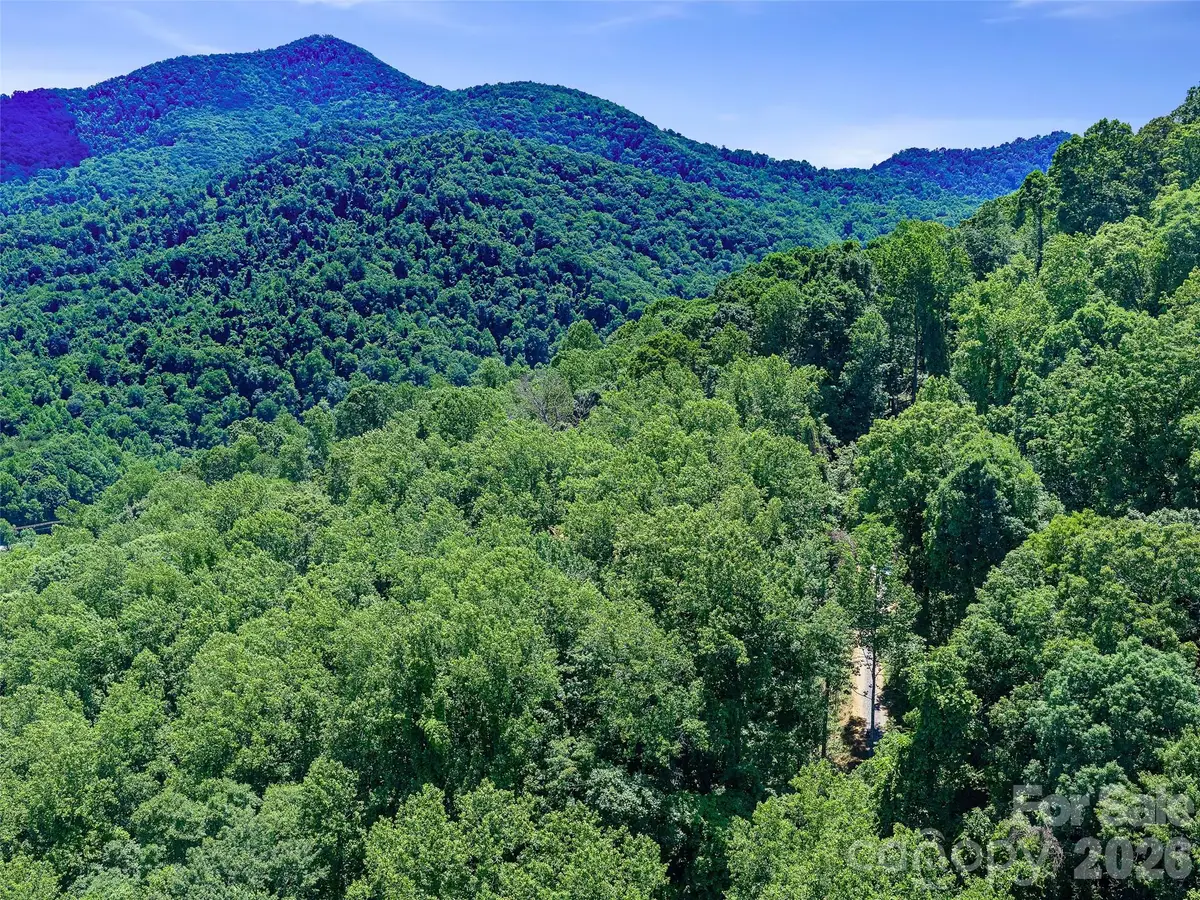 9999 Lovebird Lane #19, Candler, NC 28715 - #1