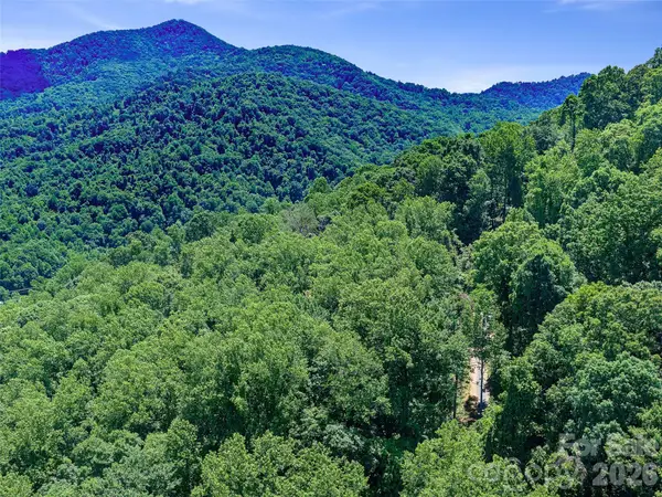 9999 Lovebird Lane #19, Candler, NC 28715