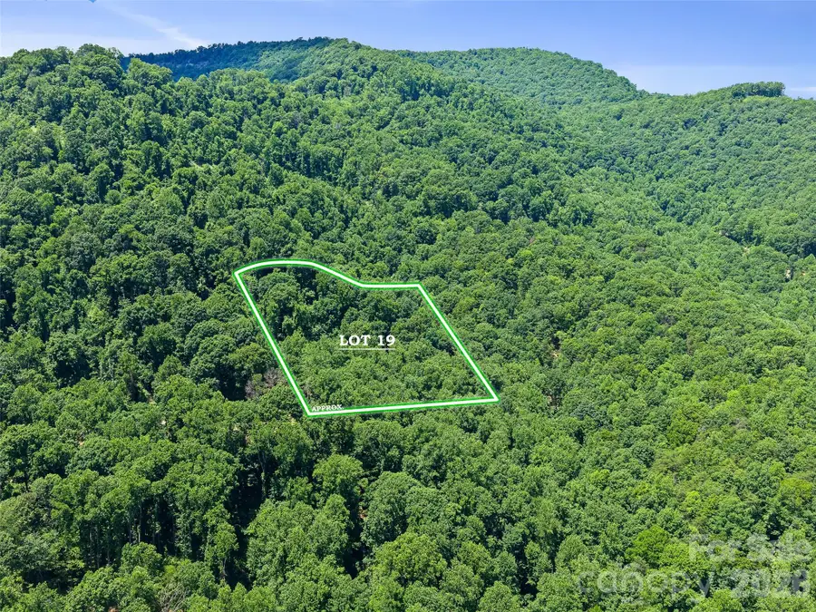 9999 Lovebird Lane #19, Candler, NC 28715 - #2