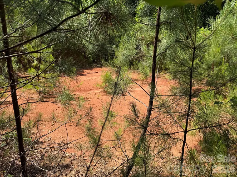 206 Corry Lane, Bostic, NC 28018 - #3