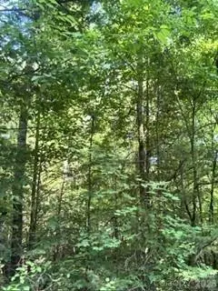 TBA Ricks Road, Sharon, SC 29742 - #1