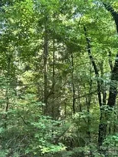 TBA Ricks Road, Sharon, SC 29742 - #2