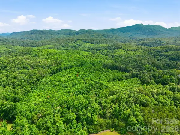 2301 Parker Padgett Road, Old Fort, NC 28762