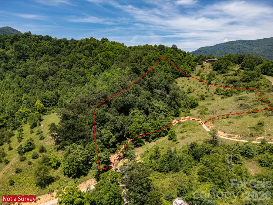 999 Murphy Cove Road, Candler, NC 28715 - #3