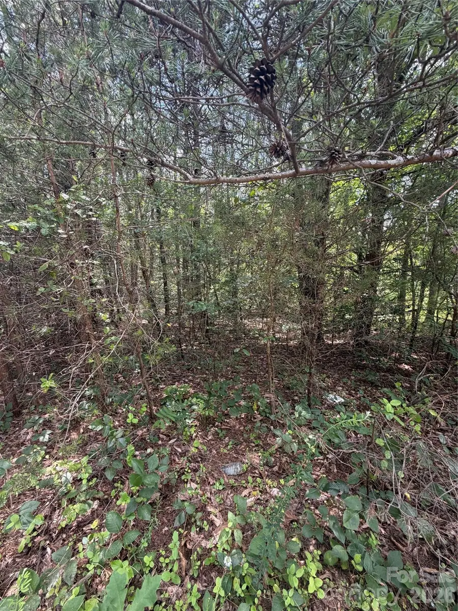3542 Vilas Road, Claremont, NC 28610 - #3