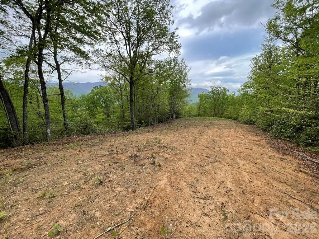 Lot 7 Copperhead Cove, Sylva, NC 28779 - #1