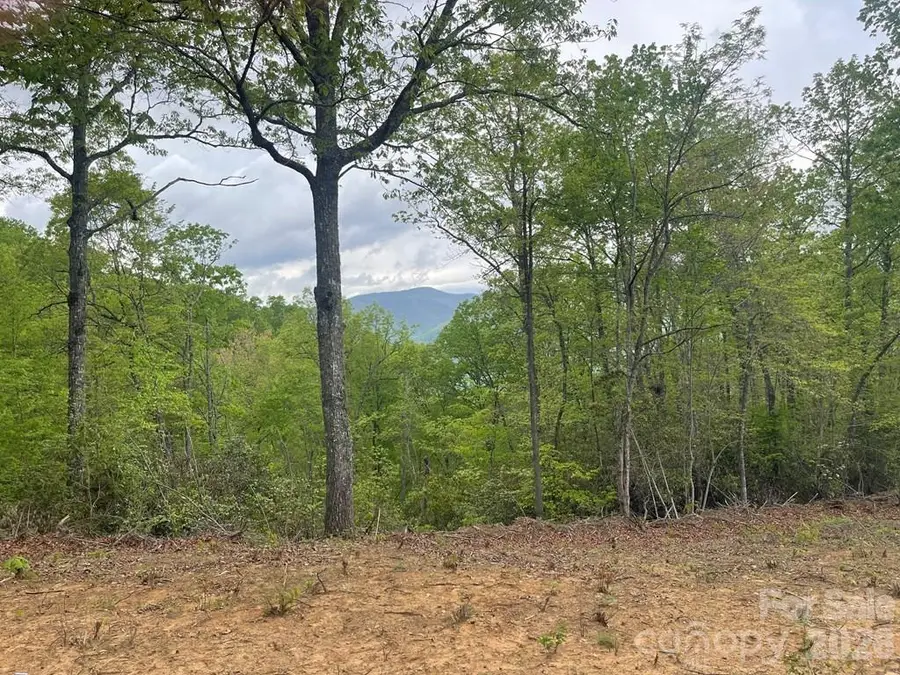 Lot 7 Copperhead Cove, Sylva, NC 28779 - #3