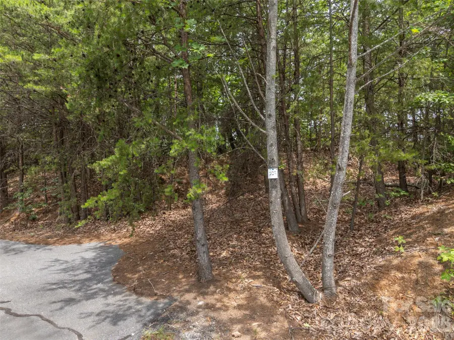 228 Brighton Drive, Bostic, NC 28018 - #3
