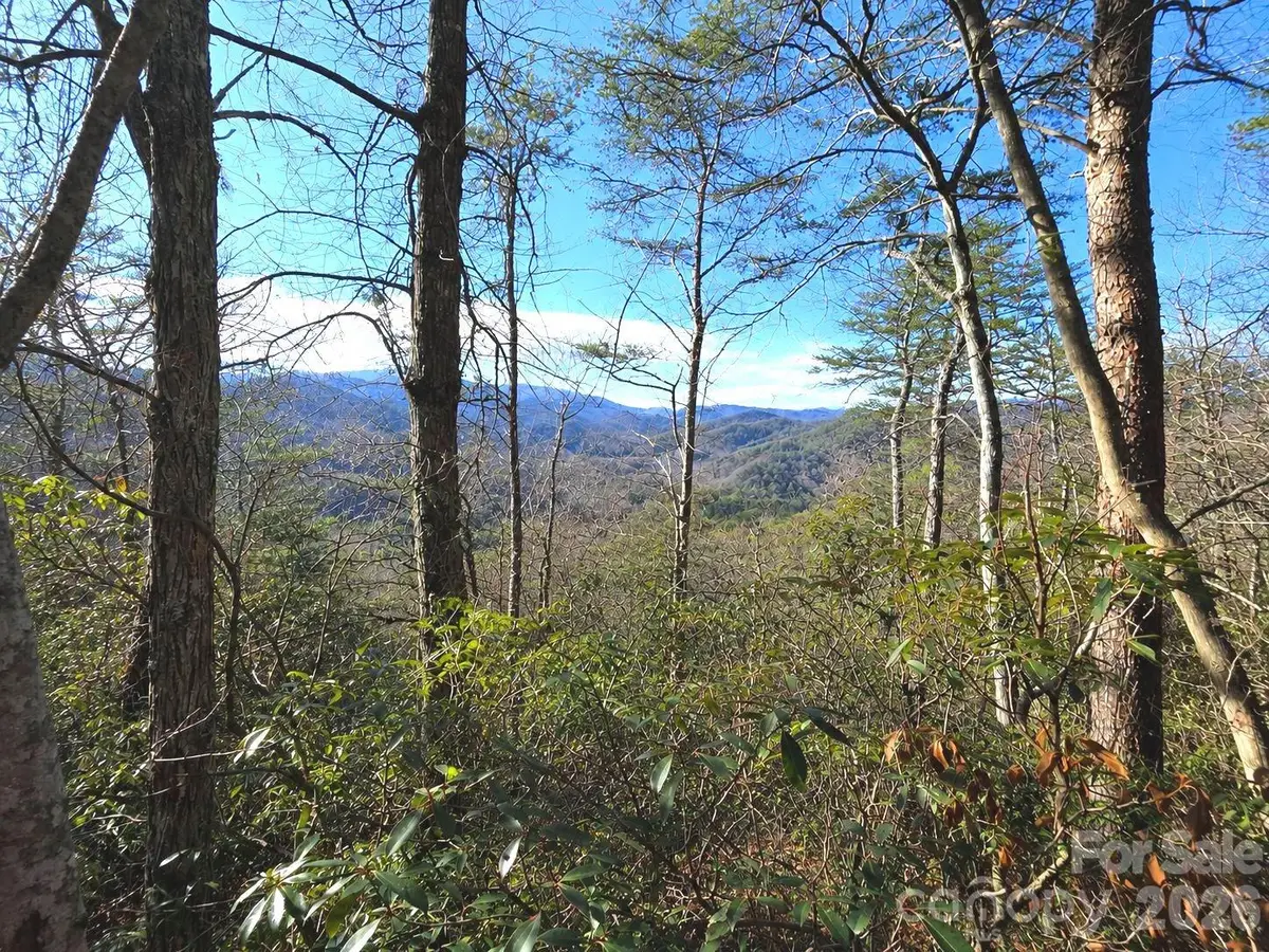 81 Lucerne Drive, Canton, NC 28716 - #1