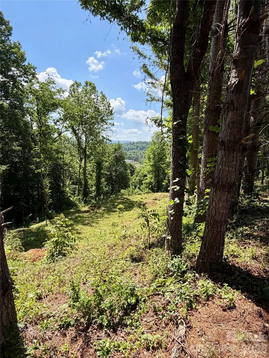 12 Willow Knoll Drive, Weaverville, NC 28787 - #2
