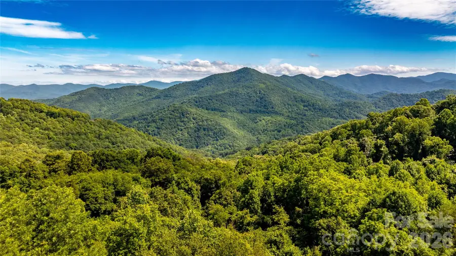 0000 High Rock View Drive #40, Canton, NC 28716 - #2
