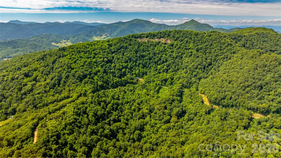 0000 High Rock View Drive #40, Canton, NC 28716 - #3