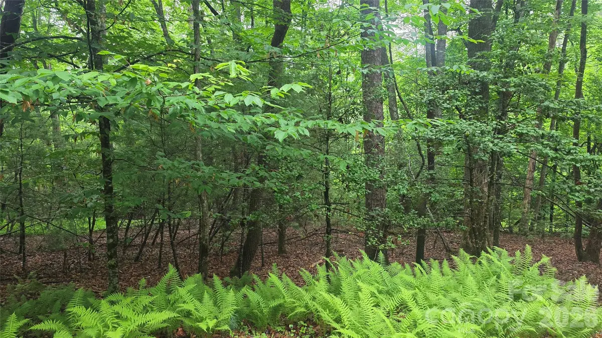 TBD Wingfield Way, Brevard, NC 28712 - #1