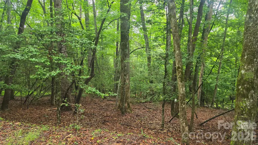 TBD Wingfield Way, Brevard, NC 28712 - #3