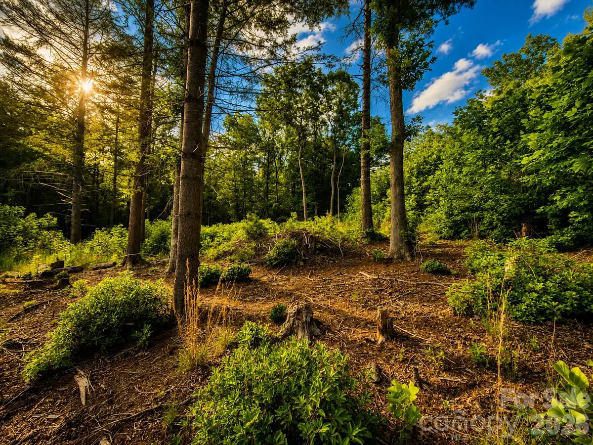 201 Cross Creek North Ridge Drive #46, Marion, NC 28752 - #1