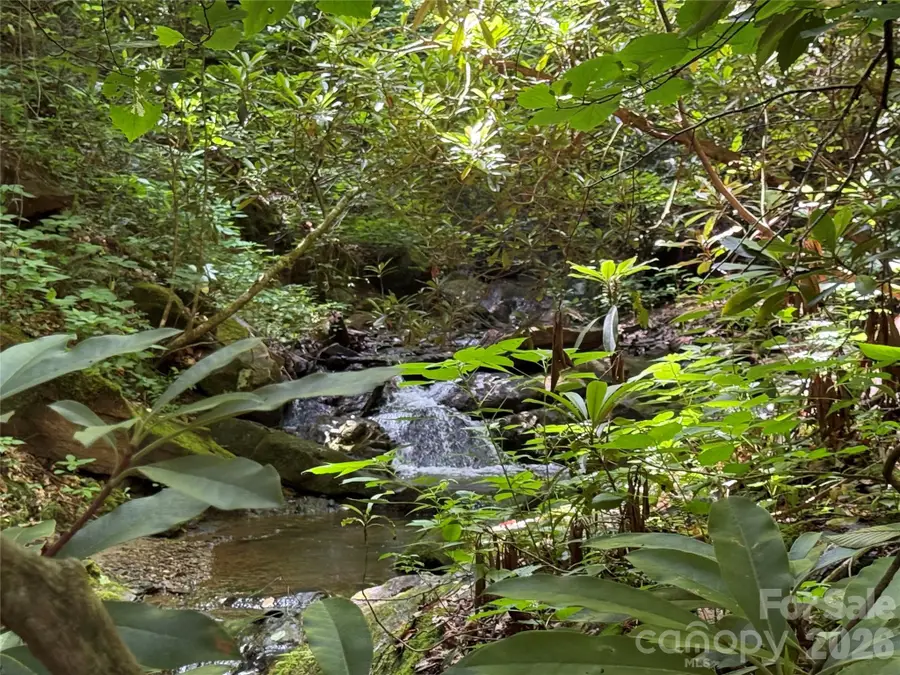 700 Copperhead Cove, Sylva, NC 28779 - #3
