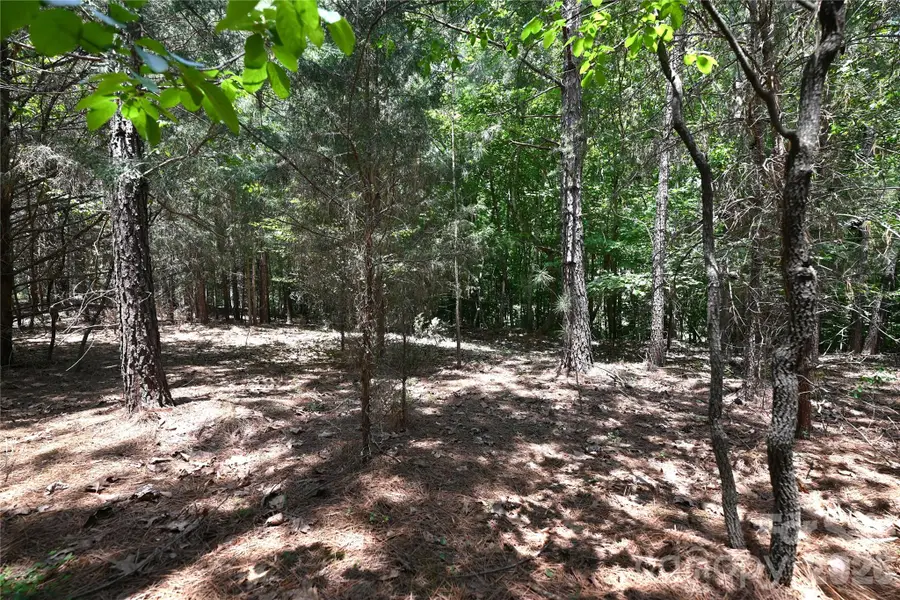 136 Oak Point Lane #36, Stony Point, NC 28678 - #2