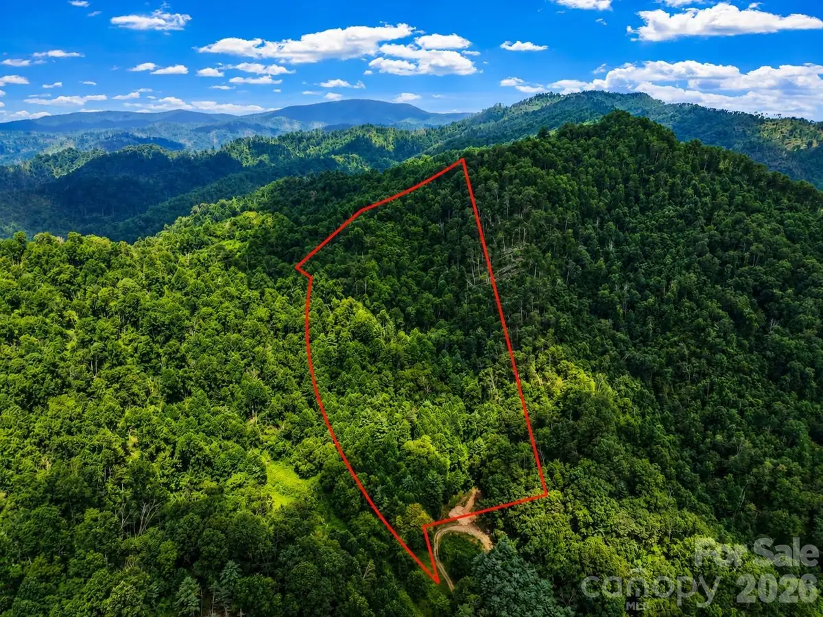 000-000 Bee Branch Road #14AC, Bakersville, NC 28705 - #1