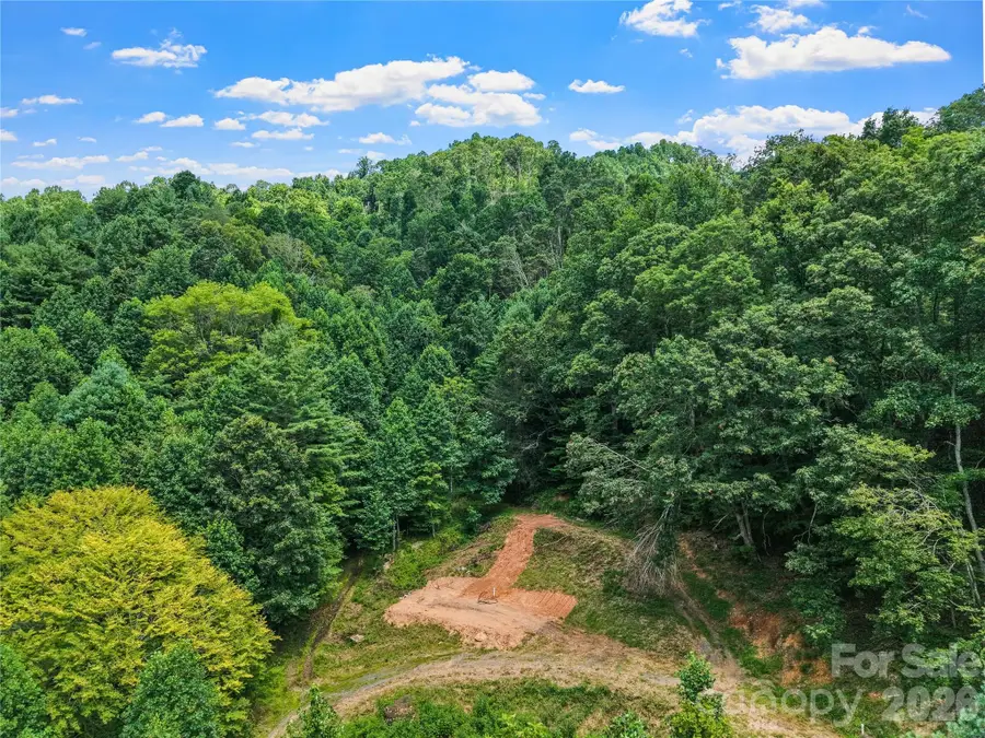 000-000 Bee Branch Road #14AC, Bakersville, NC 28705 - #2