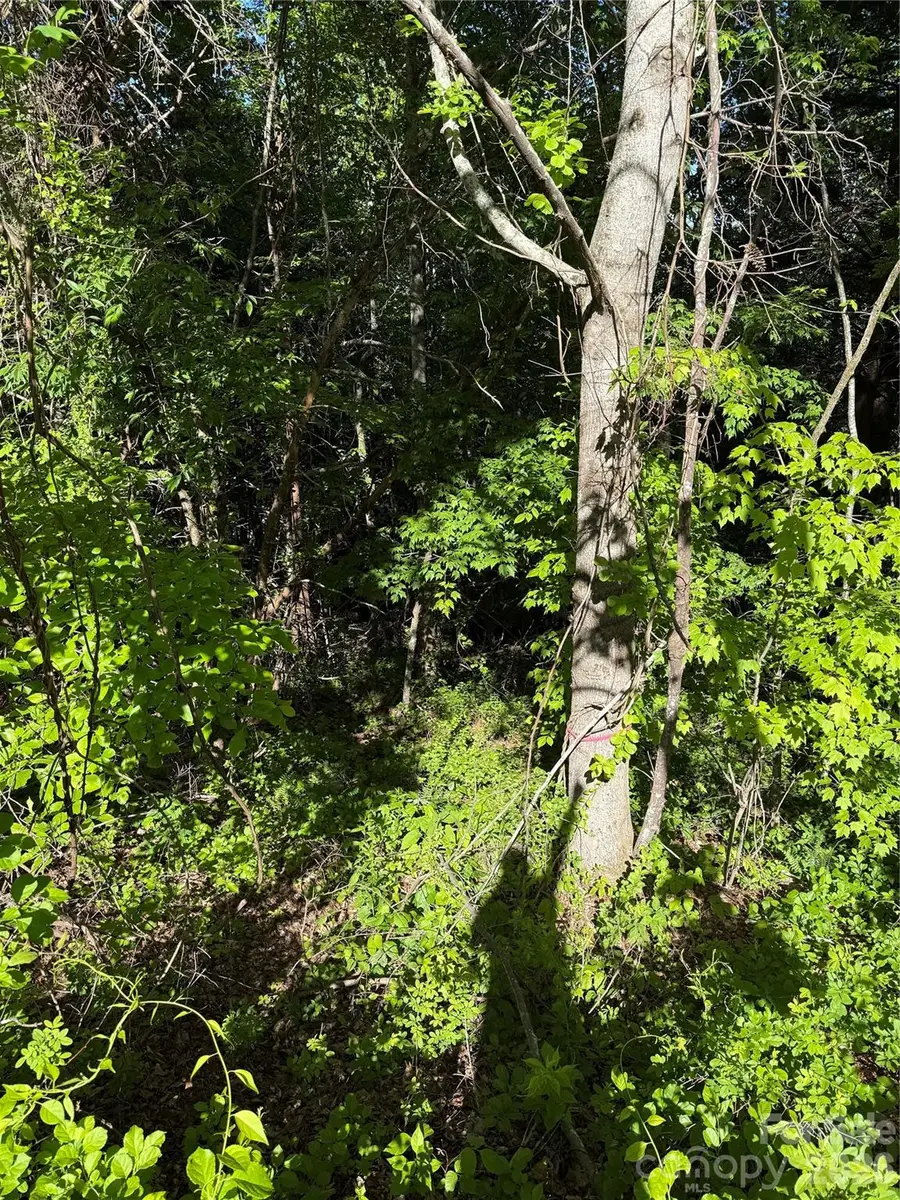 9999 Hunters Ridge Road, Canton, NC 28716 - #3