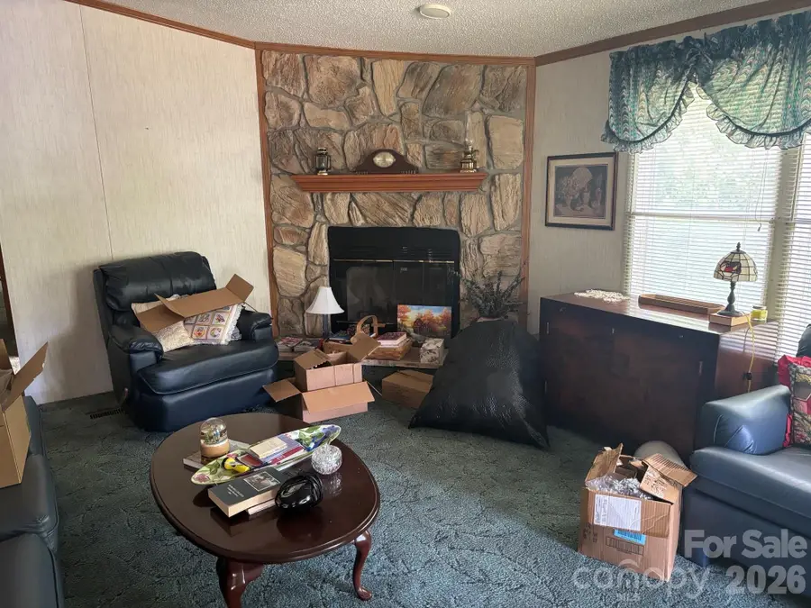 130 Wid Smith Road, Burnsville, NC 28714 - #3