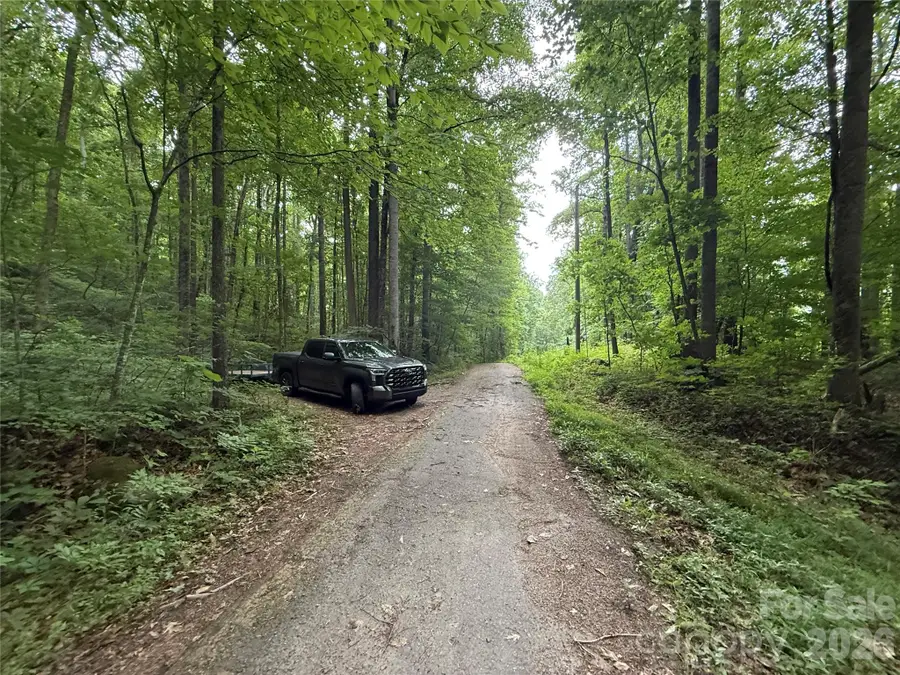 9999 Countryside Estate, Barnardsville, NC 28709 - #3