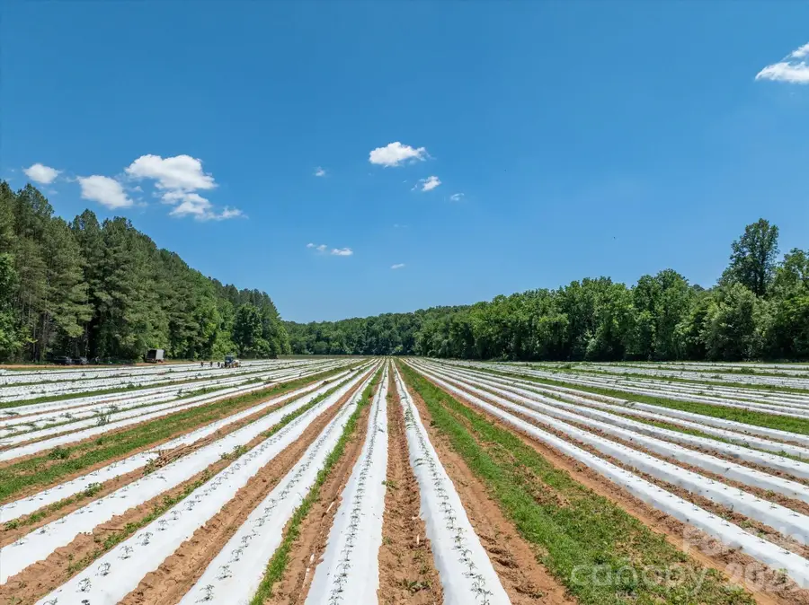 99999 Tryon Road, Rutherfordton, NC 28139 - #3