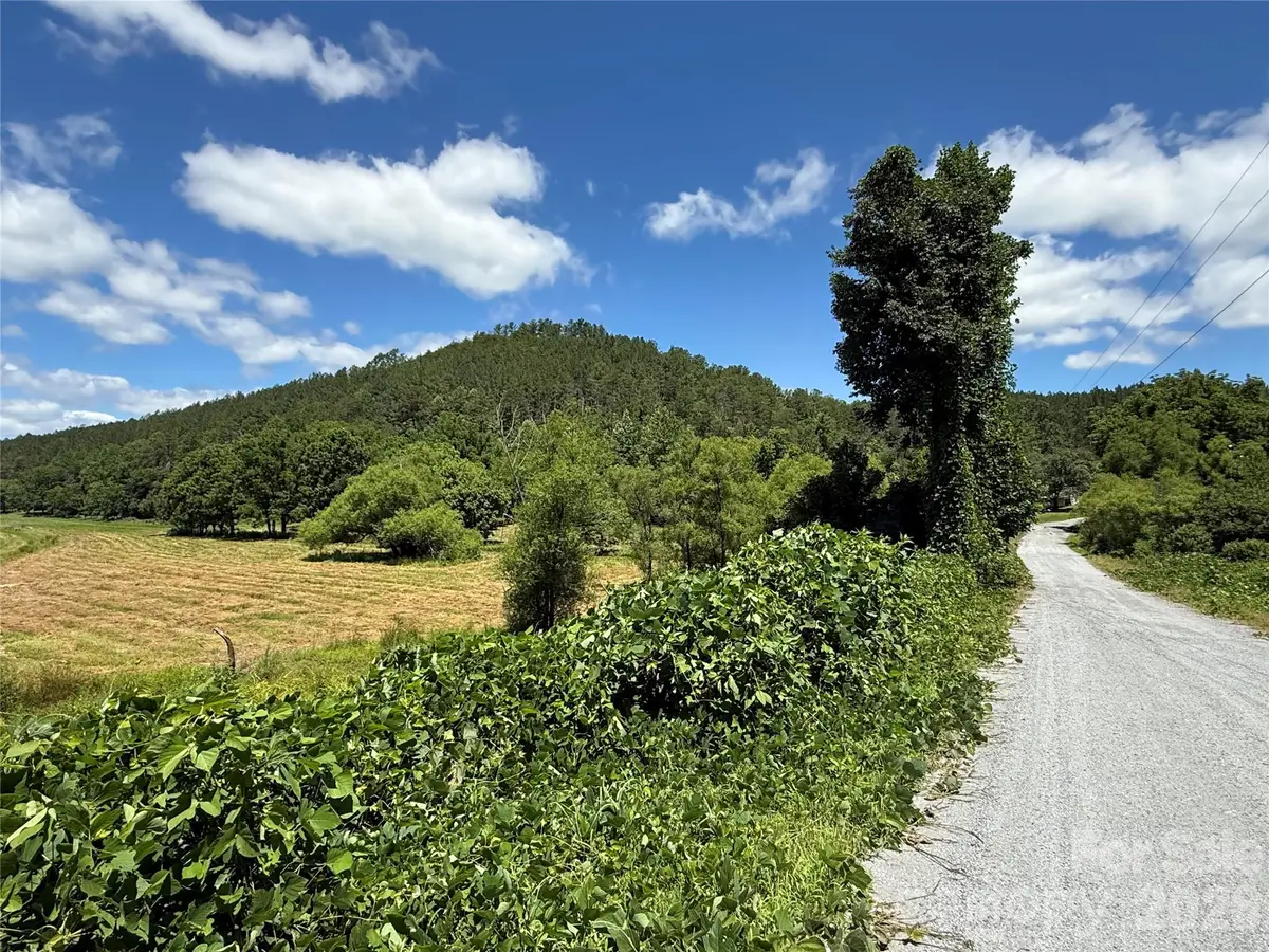 99999 Thompson Lake Road, Rutherfordton, NC 28139 - #1