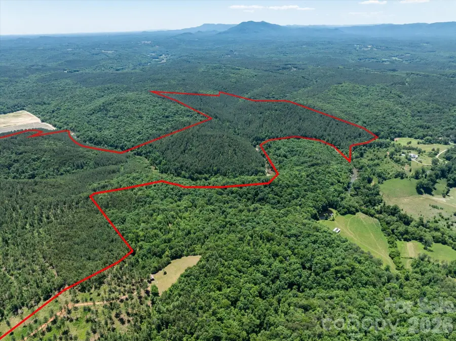 99999 Thompson Lake Road, Rutherfordton, NC 28139 - #3