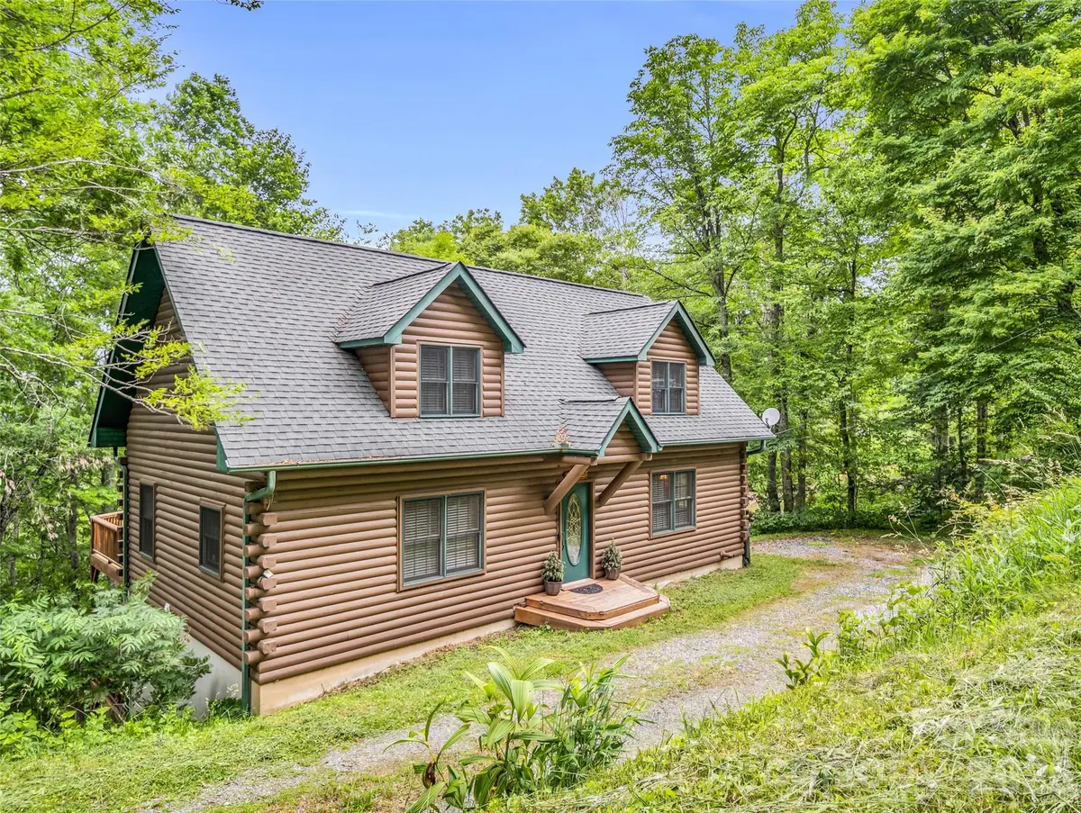 145 Lucas Lane, Mars Hill, NC 28754 - #1