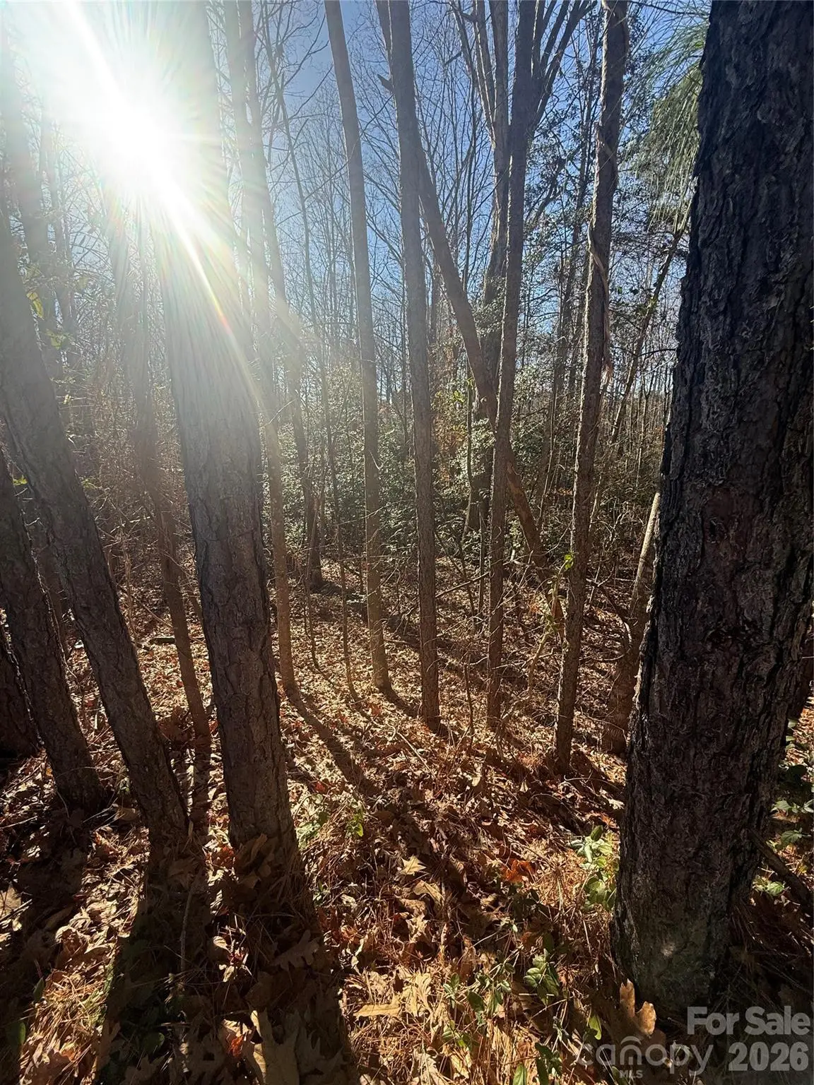 0 Liledoun Road #14, Taylorsville, NC 28681 - #1
