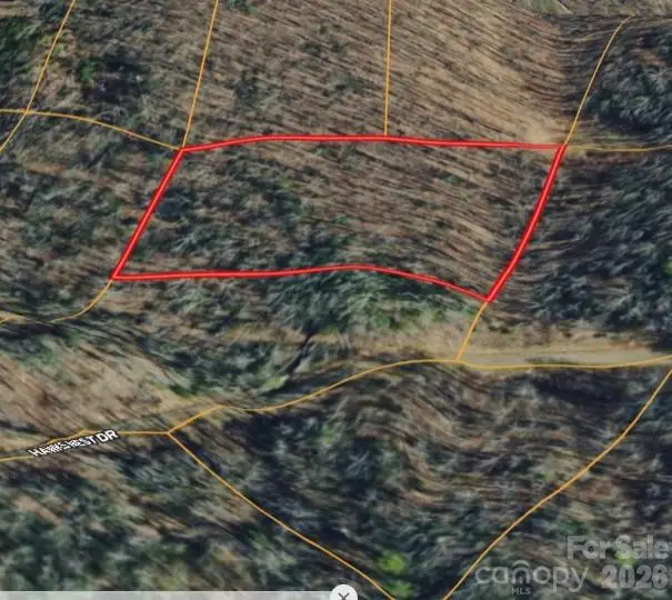 000 Hawks Nest Drive, Burnsville, NC 28714 - #2