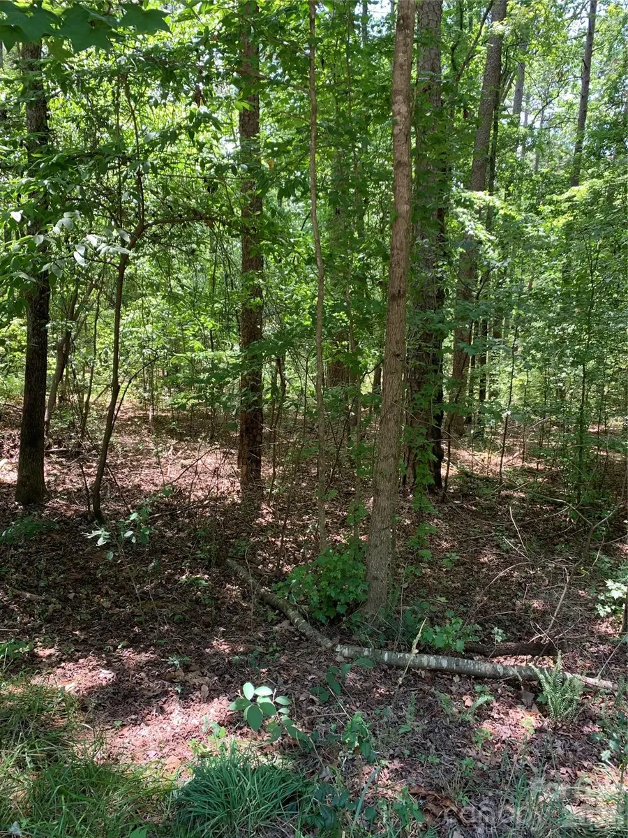 220 Lakewood Court, New London, NC 28127 - #2