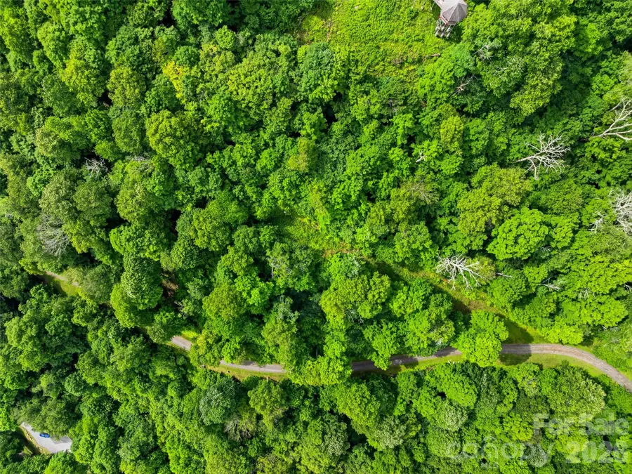 16 Mountain Gait Drive #16, Mars Hill, NC 28754 - #2