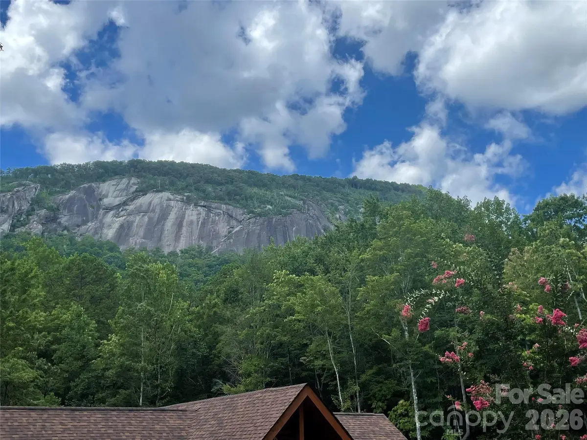 282 Quail Ridge Road, Lake Lure, NC 28746 - #1