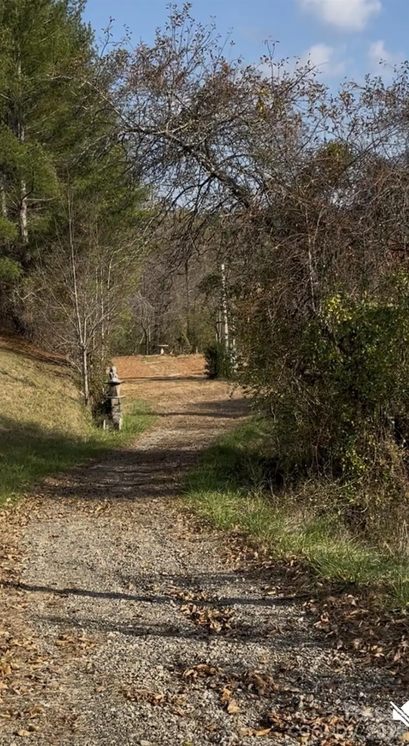 11 New Home Road, Marshall, NC 28753 - #1