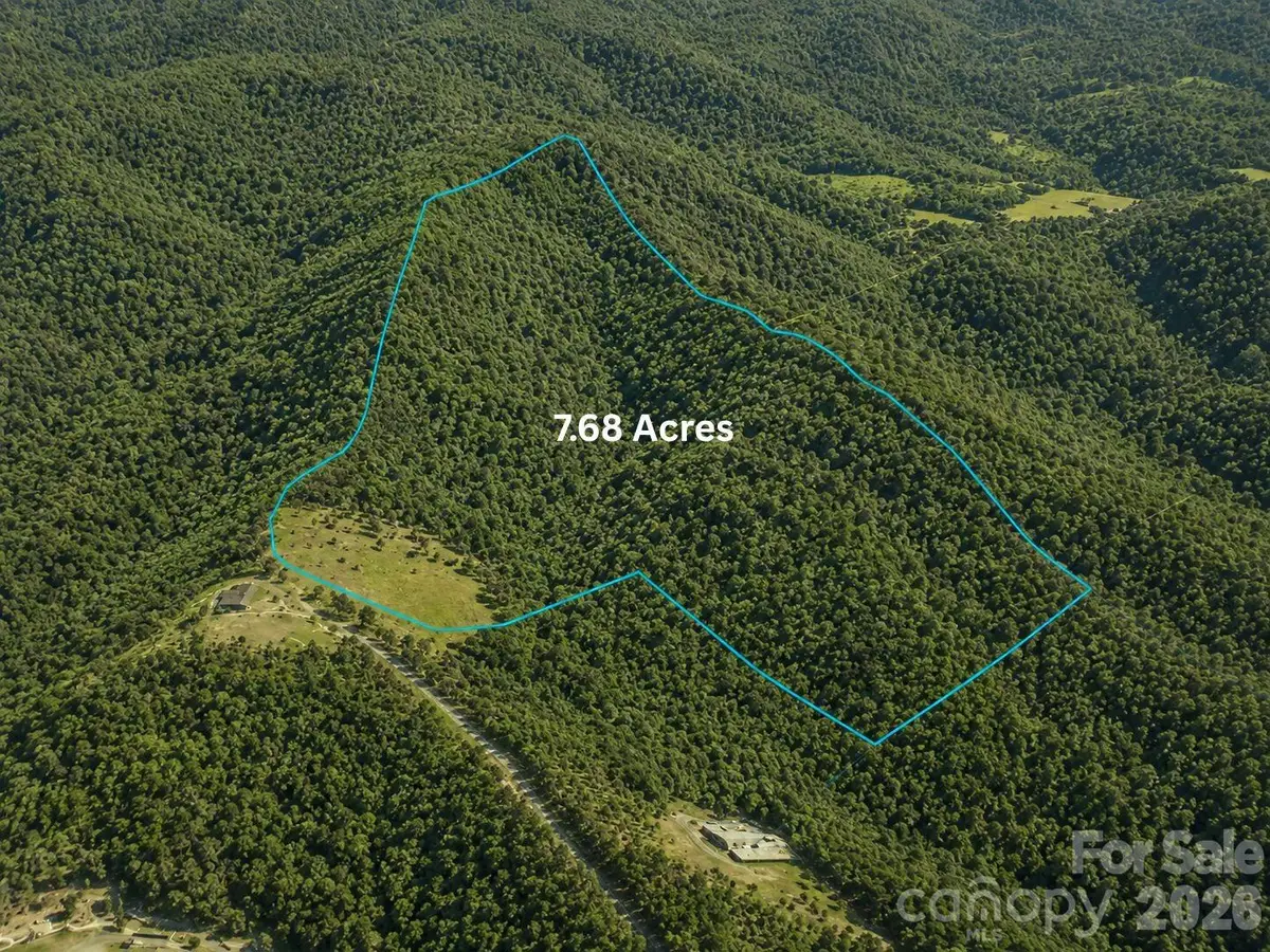 01 Panther Ridge Lane, Franklin, NC 28734 - #1