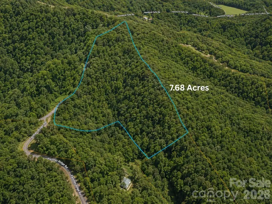 01 Panther Ridge Lane, Franklin, NC 28734 - #3