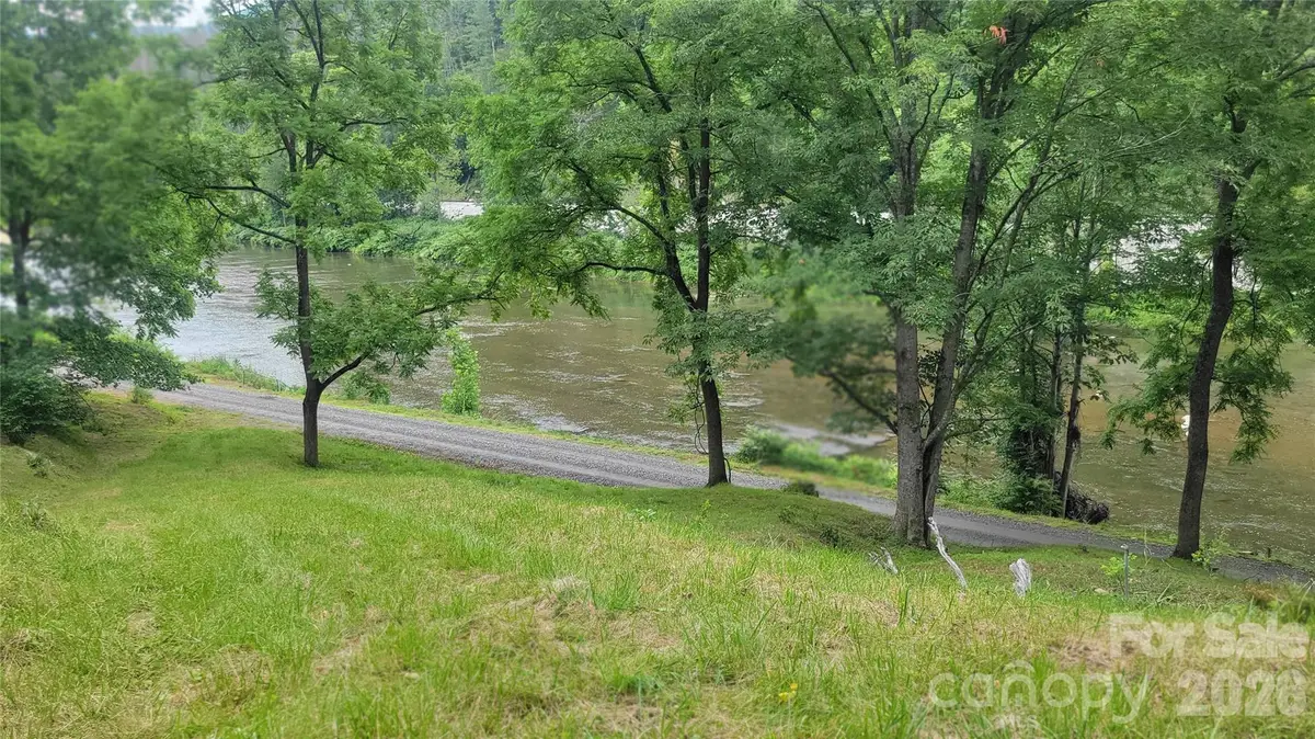 2079 Roses Branch Road, Green Mountain, NC 28740 - #1