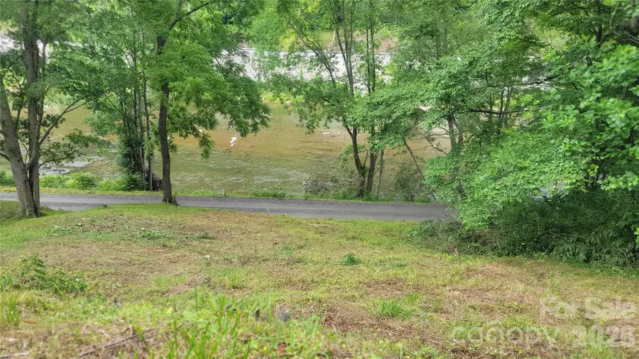 2079 Roses Branch Road, Green Mountain, NC 28740 - #2