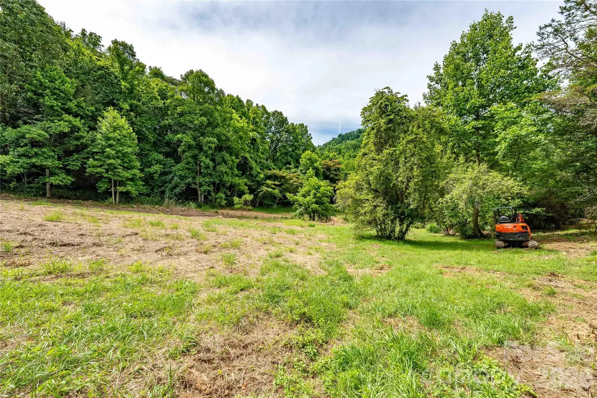 9999 Morgan Branch Road, Weaverville, NC 28787 - #1