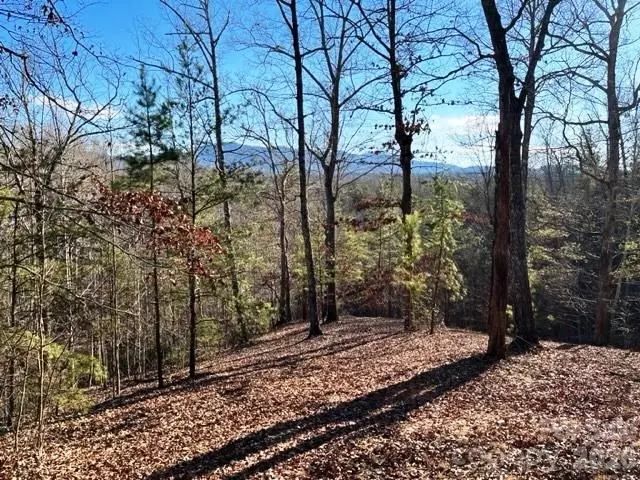 Lot 17-4 N Coast Drive, Mill Spring, NC 28756 - #1
