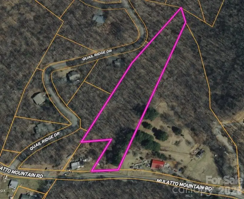 000 Mulatto Mountain Road, Fleetwood, NC 28626 - #1