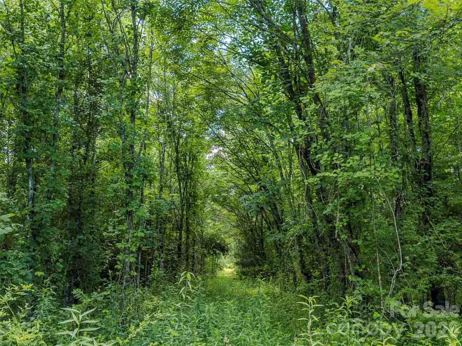 TBD Canebrake Road, Pisgah Forest, NC 28768 - #2